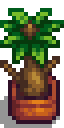 File:Fancy House Plant 2 2.png