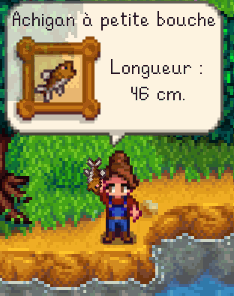 File:Fish Display FR.gif