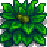 Large Weed variant 1