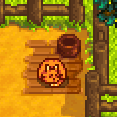 Empty pet bowl