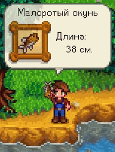 File:Fish Display RU.gif