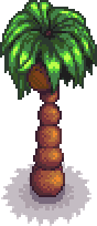 File:Palm Tree Island Portrait Fruit.png