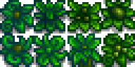 Green Rain Weed variants