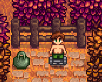 File:Alex Workout Area.jpg
