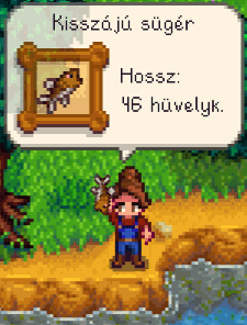 File:Fish Display HU.gif