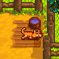 Full pet bowl