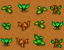 File:WildSeedsStage2.png