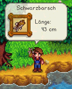 File:Fish Display DE.gif