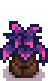 Thumbnail for version as of 04:25, 1 May 2018