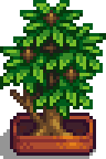 File:Fancy House Plant 2.png