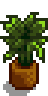 Thumbnail for version as of 05:10, 22 January 2017