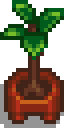 File:Fancy House Plant 2 1.png