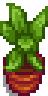 Thumbnail for version as of 05:08, 22 January 2017
