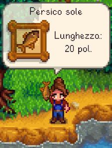 File:Fish Display IT.gif