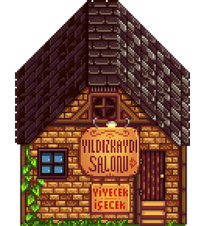 Saloon TR.png