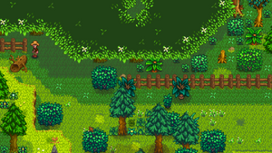 Entrance to the Secret Woods.