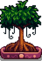 Thumbnail for version as of 18:22, 26 November 2019