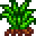 Grass Starter