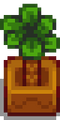 Thumbnail for version as of 11:22, 24 March 2024