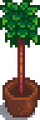 Thumbnail for version as of 17:55, 9 March 2016