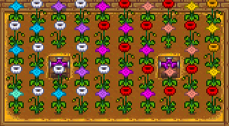 Summer Flower Patterns