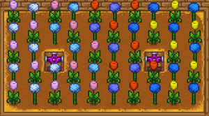 Flower Patterns.png
