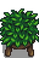 Thumbnail for version as of 19:38, 21 March 2024