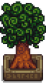 Thumbnail for version as of 09:29, 26 March 2024