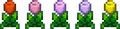 Thumbnail for version as of 03:07, 14 December 2016