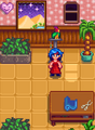 Emily's room