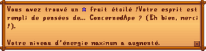 ConcernedApe Favourite FR.png