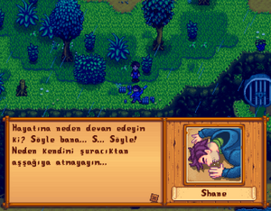 Shane 6 Hearts 2 TR.png