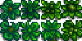 Thumbnail for version as of 21:50, 19 March 2024