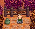 Alex lifts weights in his outdoor space