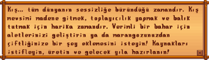Winter Tip TR.png