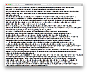 CharacterEncodingProblemsSafari.png