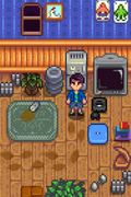 Shane