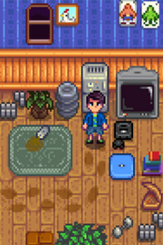 Shane