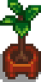 Thumbnail for version as of 20:41, 5 April 2024