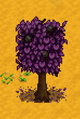 Cherry Tree