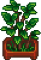 Thumbnail for version as of 08:19, 26 March 2024