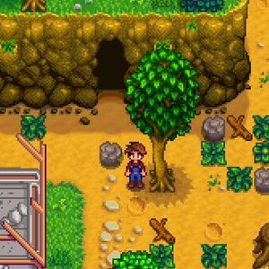Cave Entrance.png