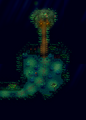 Island East