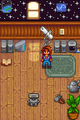 Maru's room